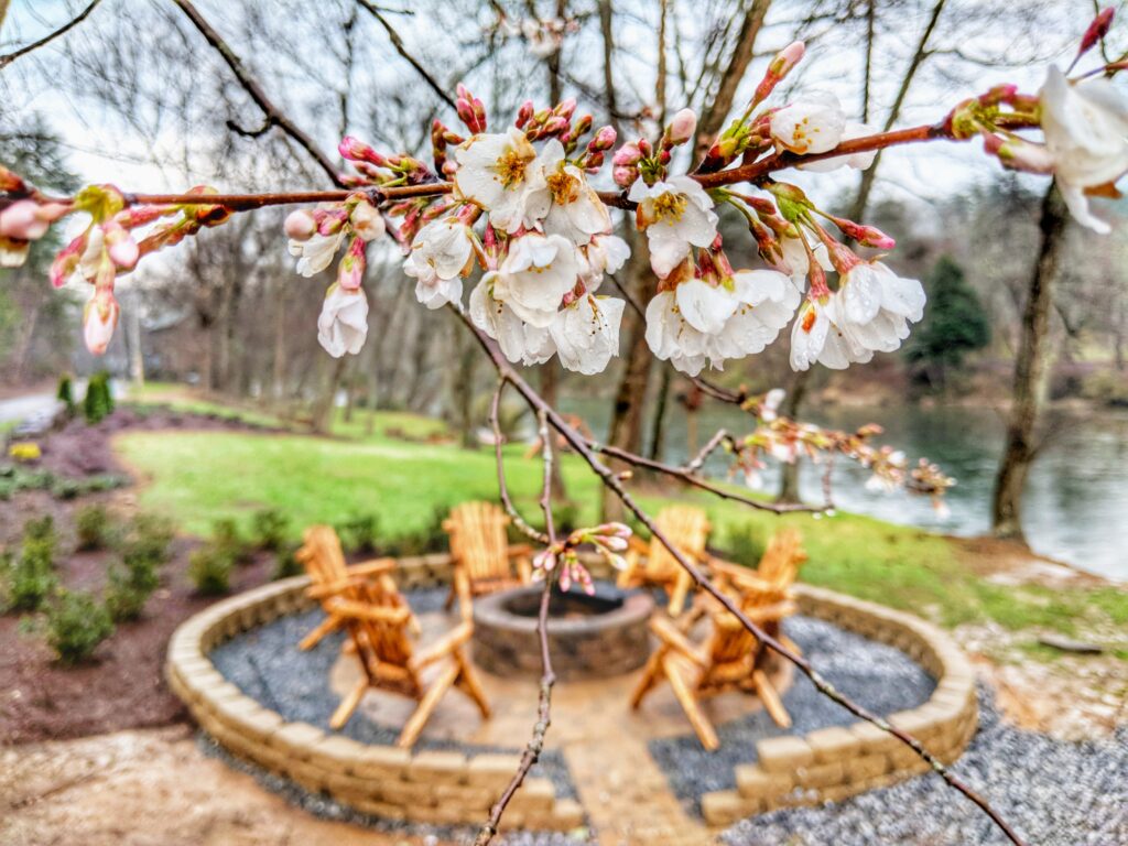 Trout Fishing the Toccoa River in Fall: What Makes October & November Special